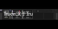 Truce(關于Truce簡述)