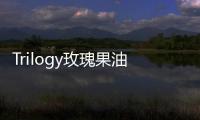 Trilogy玫瑰果油油皮能用嗎 Trilogy玫瑰果油油皮會油嗎