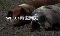 Twitter再也無力替你抵擋網(wǎng)路酸民——知情人士曝光相關(guān)問題