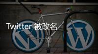 Twitter 被改名、Facebook 抖音化，它反而趁機成贏家！五年營收成長 2 倍