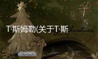 T·斯姆勒(關于T·斯姆勒簡述)