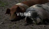 V與身體