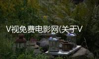 V視免費電影網(關于V視免費電影網簡述)