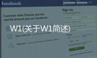 W1(關(guān)于W1簡述)