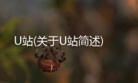 U站(關(guān)于U站簡述)