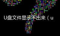 U盤文件顯示不出來（u盤文件顯示不出來）