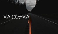V.A.(關(guān)于V.A.簡述)