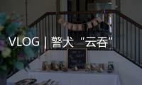 VLOG｜警犬“云吞”值班記
