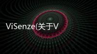 ViSenze(關于ViSenze簡述)