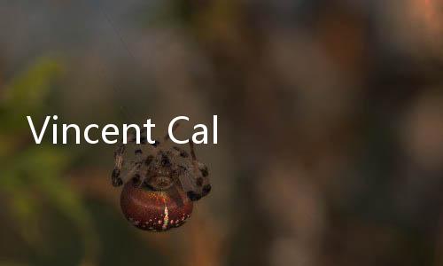 Vincent Callebaut設計深圳的“農莊摩天樓”（組圖）
