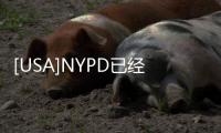 [USA]NYPD已經(jīng)“做好準(zhǔn)備”，應(yīng)對(duì)大選前后的任何不穩(wěn)定因素！