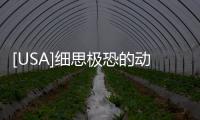 [USA]細思極恐的動畫電影！《尋龍傳說》并非給小孩看的？ 精
