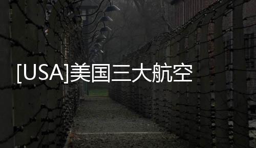 [USA]美國三大航空公司宣布停飛以色列