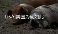 [USA]美國為何如此囂張？明知道中國有“大動作”，仍敢“頂風作案”？