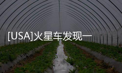 [USA]火星車發現一個奇怪物體，看上去像“鋼珠”，真實身份是什么？