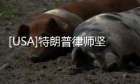[USA]特朗普律師堅(jiān)稱大選結(jié)果將被“推翻”：我們手上“有證據(jù)”