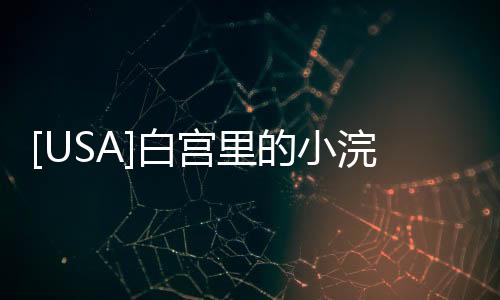 [USA]白宮里的小浣熊惹禍了