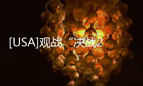 [USA]觀戰(zhàn)“決戰(zhàn)2020大選夜”的正確姿勢
