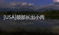 [USA]頸部長出小肉球？摳掉會怎樣？如何正確處理？