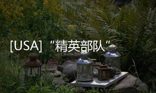 [USA]“精英部隊”專屬近戰武器——格洛克手槍