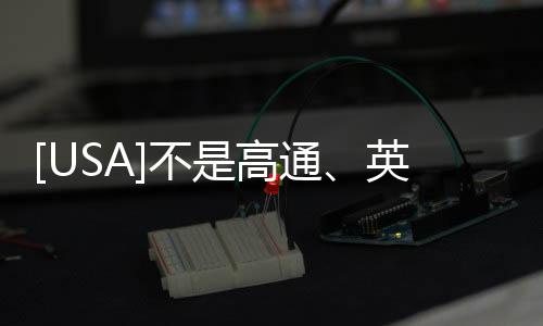 [USA]不是高通、英特爾、AMD… 全球最大的芯片廠商是這家！