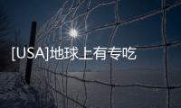 [USA]地球上有專吃人的動物嗎？