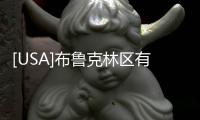 [USA]布魯克林區有15套“可負擔公寓”開放抽簽申請