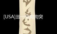 [USA]當(dāng)一只狗狗突然見到了兩年未見的前主人，它會(huì)怎么樣？