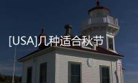 [USA]幾種適合秋節(jié)購(gòu)買(mǎi)享用的水果推薦，還可加工成飲品！