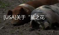 [USA]關于“鹽之花”，為何它賣得比普通食用鹽貴那么多？