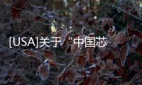 [USA]關(guān)于“中國芯”重量級人才【余凱】