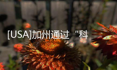 [USA]加州通過“科比法案”，事故死者照片將禁止外傳