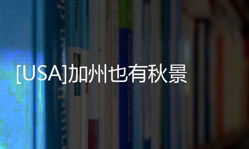 [USA]加州也有秋景的，而且不止一處 ~ 處處震撼