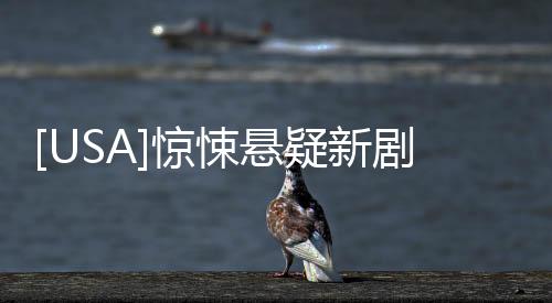 [USA]驚悚懸疑新劇《飛越瘋人院》要一口氣追完才過癮啊