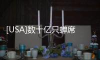 [USA]數(shù)十億只蟬席卷美國：有人打911報(bào)警 有人享用蟬壽司