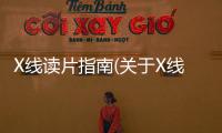 X線讀片指南(關于X線讀片指南簡述)