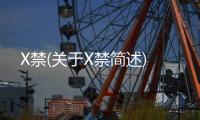 X禁(關于X禁簡述)