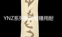 YNZ系列振動樁錘用耐振電動機(關于YNZ系列振動樁錘用耐振電動機簡述)