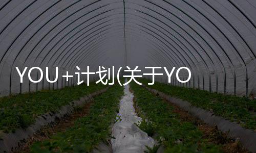 YOU+計劃(關(guān)于YOU+計劃簡述)