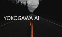 YOKOGAWA AIP827