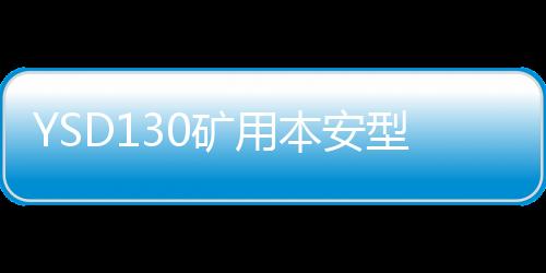 YSD130礦用本安型噪聲檢測(cè)儀是噪聲檢測(cè)儀器
