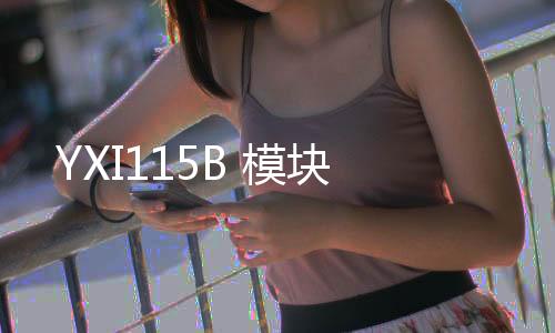 YXI115B 模塊
