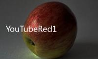 YouTubeRed10月28日登場:無廣告可收看特定內容