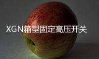 XGN箱型固定高壓開關柜(關于XGN箱型固定高壓開關柜簡述)