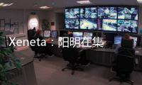 Xeneta：陽明在集裝箱運輸減排中表現亮眼