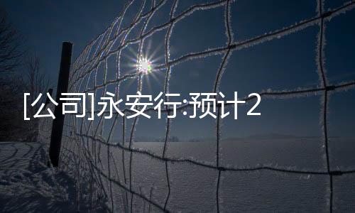 [公司]永安行:預(yù)計(jì)2019年的凈利潤同比增加310%到350%