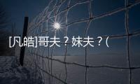 [凡皓]哥夫？妹夫？(AU.abo)(關于[凡皓]哥夫？妹夫？(AU.abo)簡述)