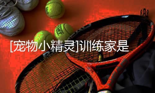 [寵物小精靈]訓練家是個蛇精病(關于[寵物小精靈]訓練家是個蛇精病簡述)