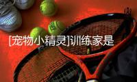 [寵物小精靈]訓練家是個蛇精病(關于[寵物小精靈]訓練家是個蛇精病簡述)