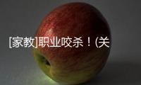 [家教]職業咬殺！(關于[家教]職業咬殺！簡述)